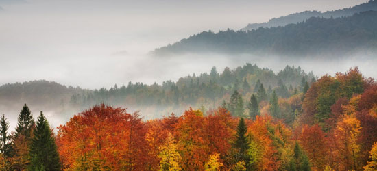 Slovenya Vizesi